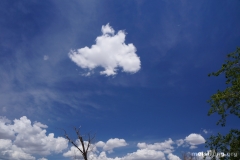 MSO_cumulus_22